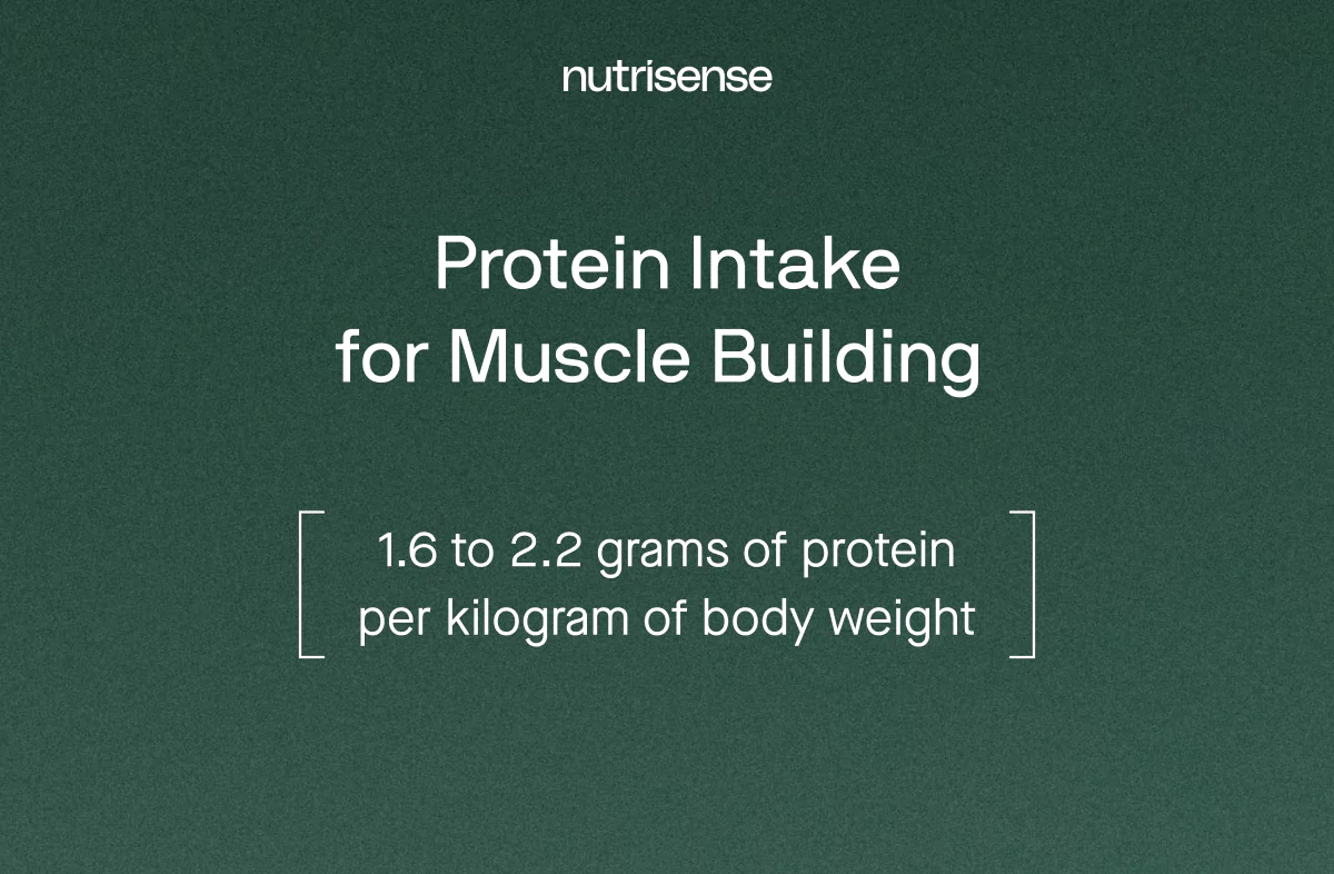 protein intake for muscle building